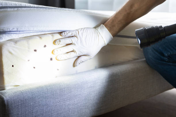 Best Pest Control Near Me  in Albany, GA