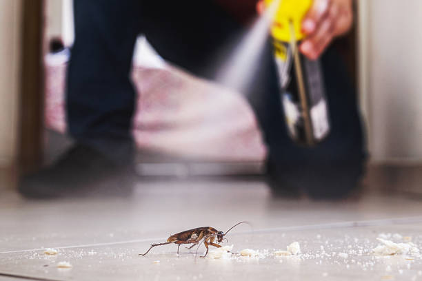Trusted Albany, GA Pest Control Experts
